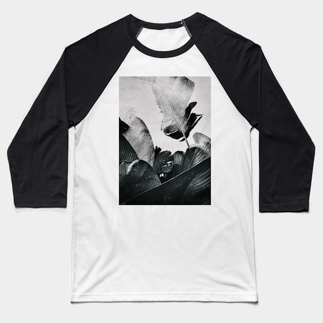 Palm Leaves in Black and White Baseball T-Shirt by visualspectrum